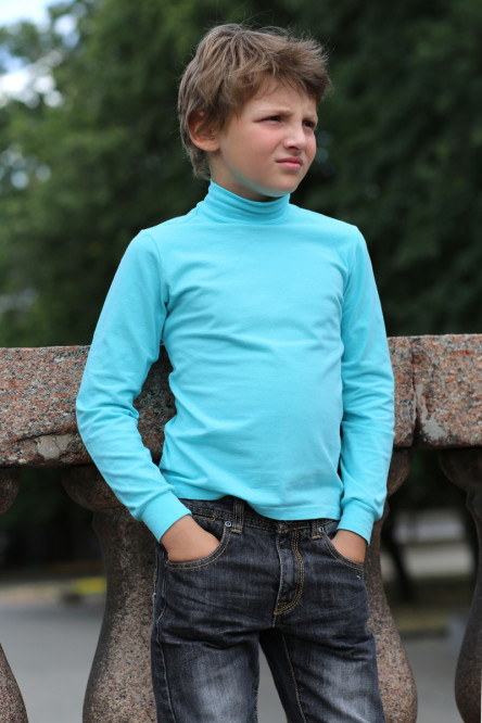 6591 джемпер однотонний для хлопчика Anabel Arto фото № 1