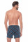 6123 MAXI труси-боксери чоловічі Anabel Arto фото № 2